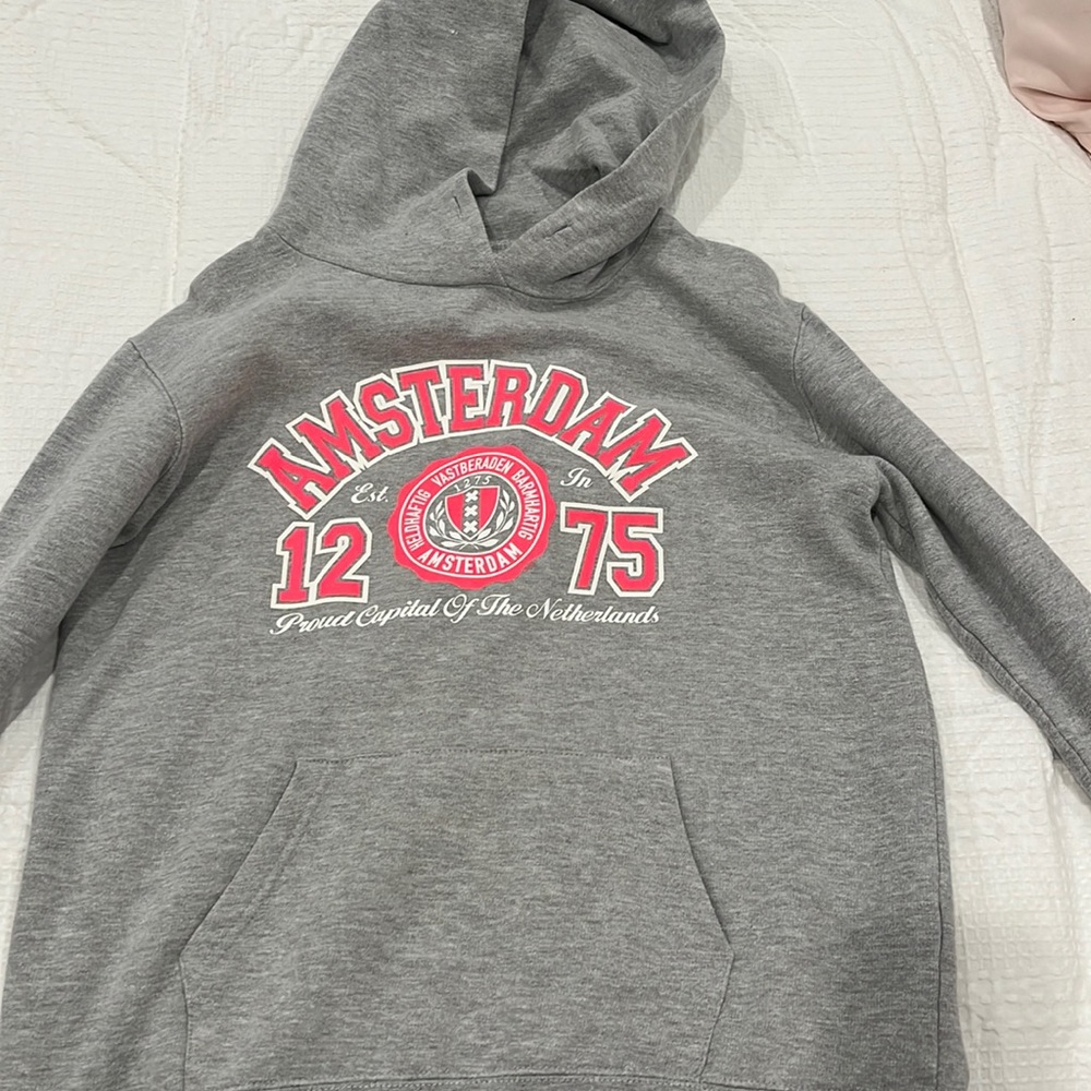 SG companies gray and pink hoodie. Tag does not say exact size but around s/xs.